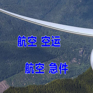 阿里普兰航空邮寄快递-选东方航空和上海航空